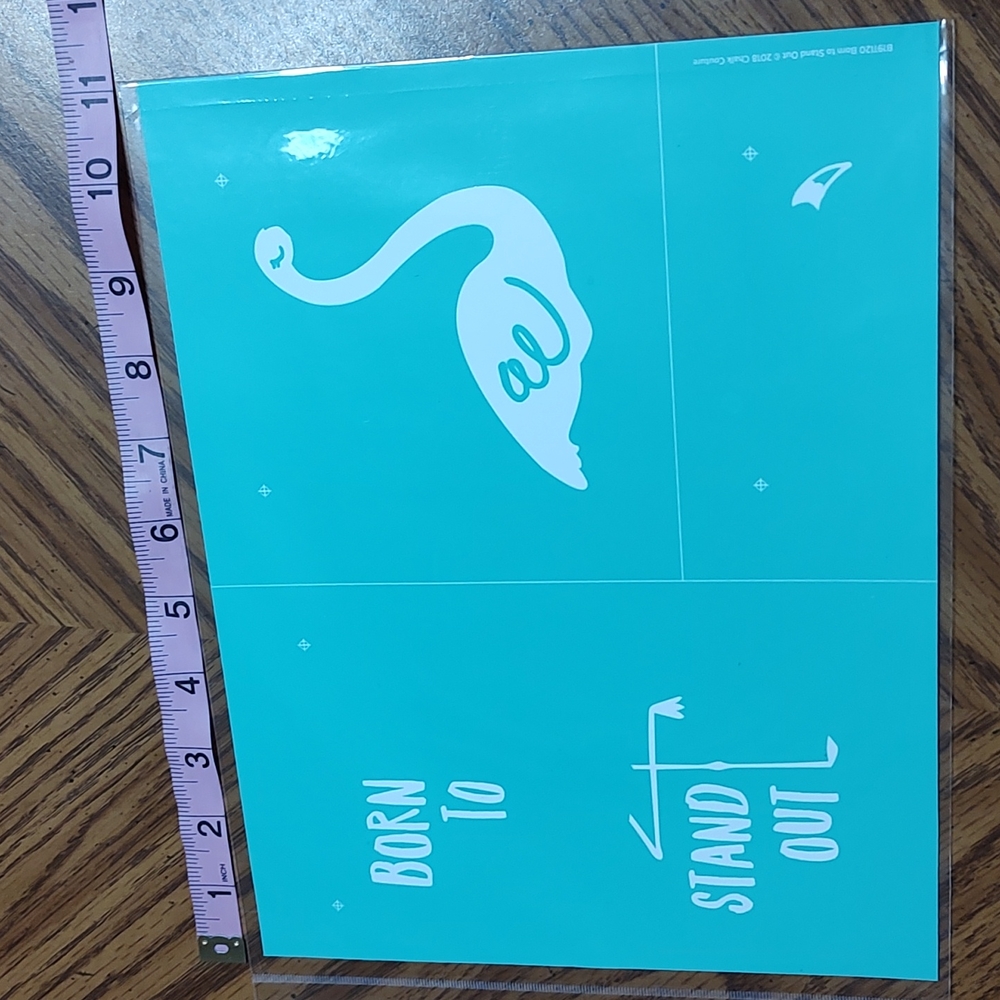 Chalk Couture Born To Stand Out Transfer Flagingo